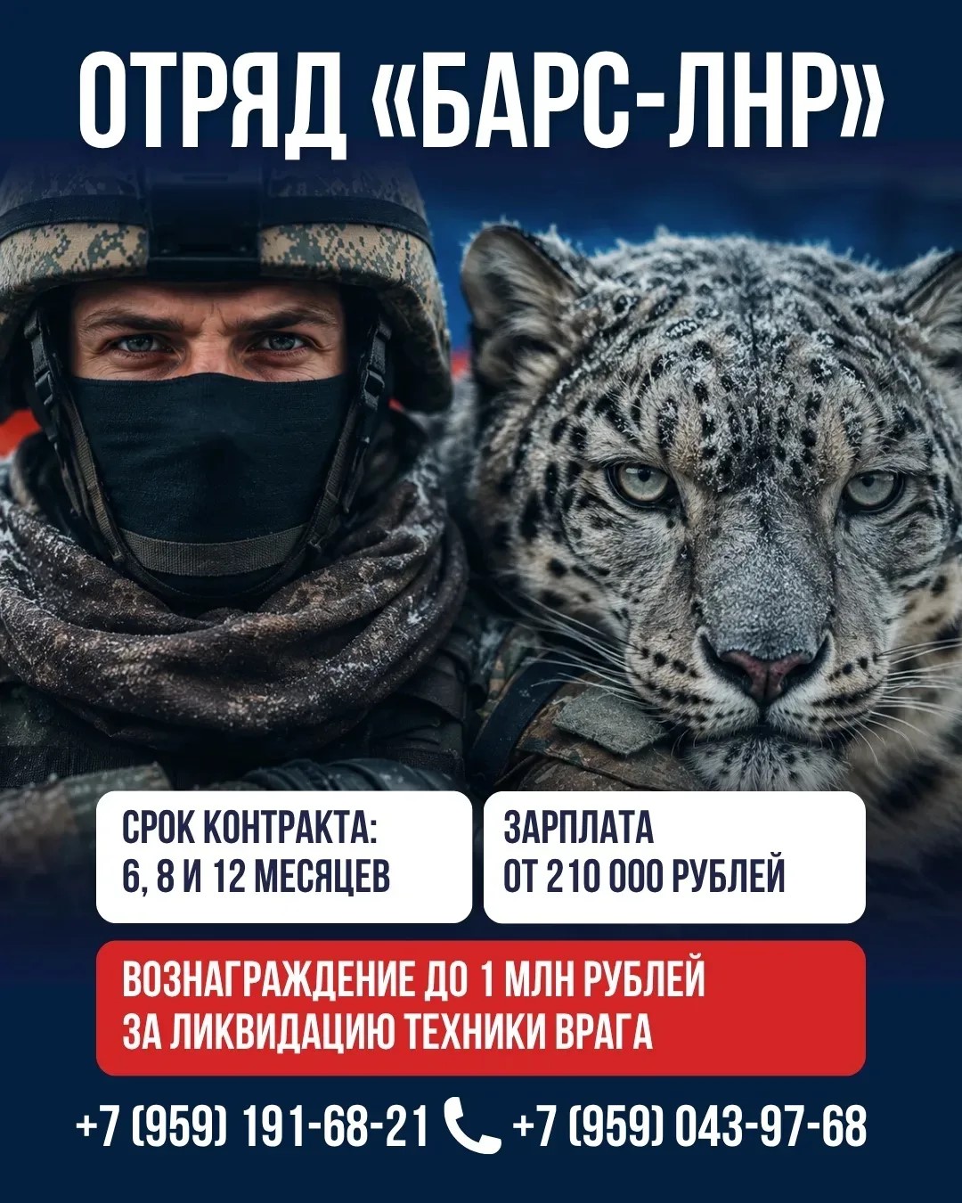 Вы сейчас просматриваете 